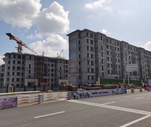 样板图