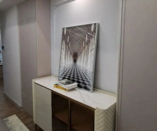 样板图