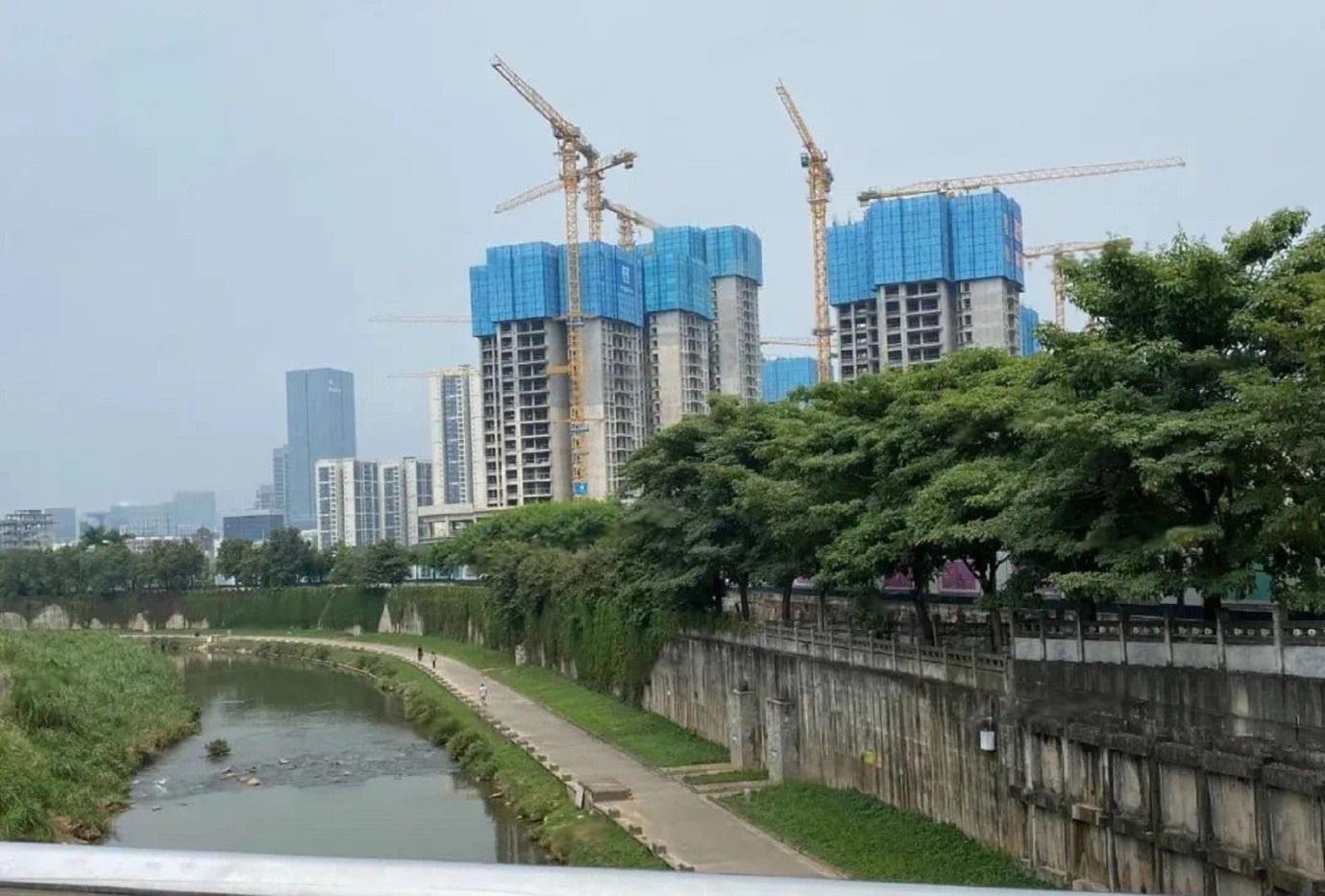 样板图