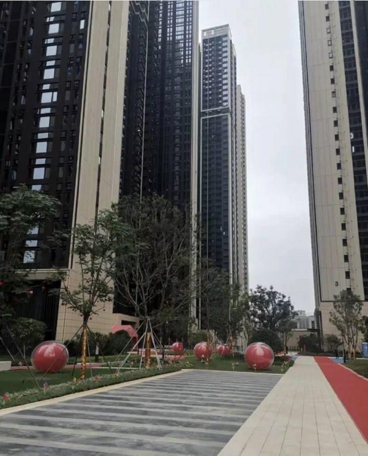 实景图