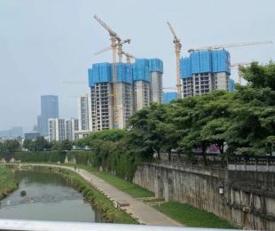 样板图