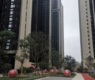 实景图