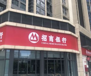 样板图