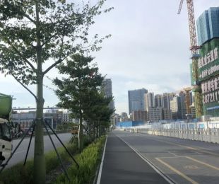 样板图