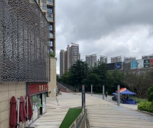 实景图