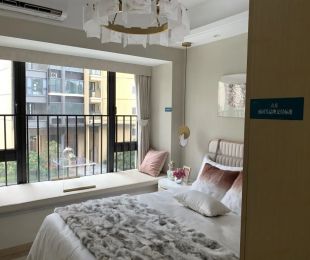 样板图