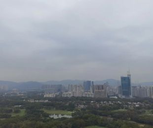 样板图