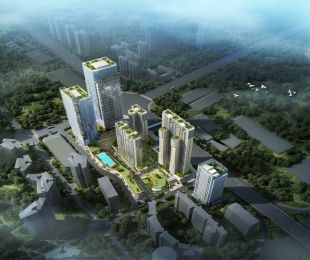效果图