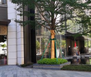 实景图