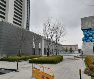 实景图