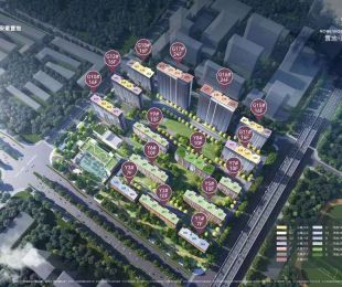 效果图