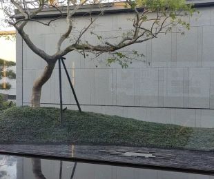 样板图
